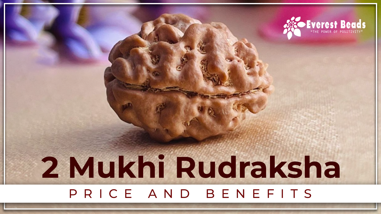 Two Mukhi Rudraksha, Price and Benefits