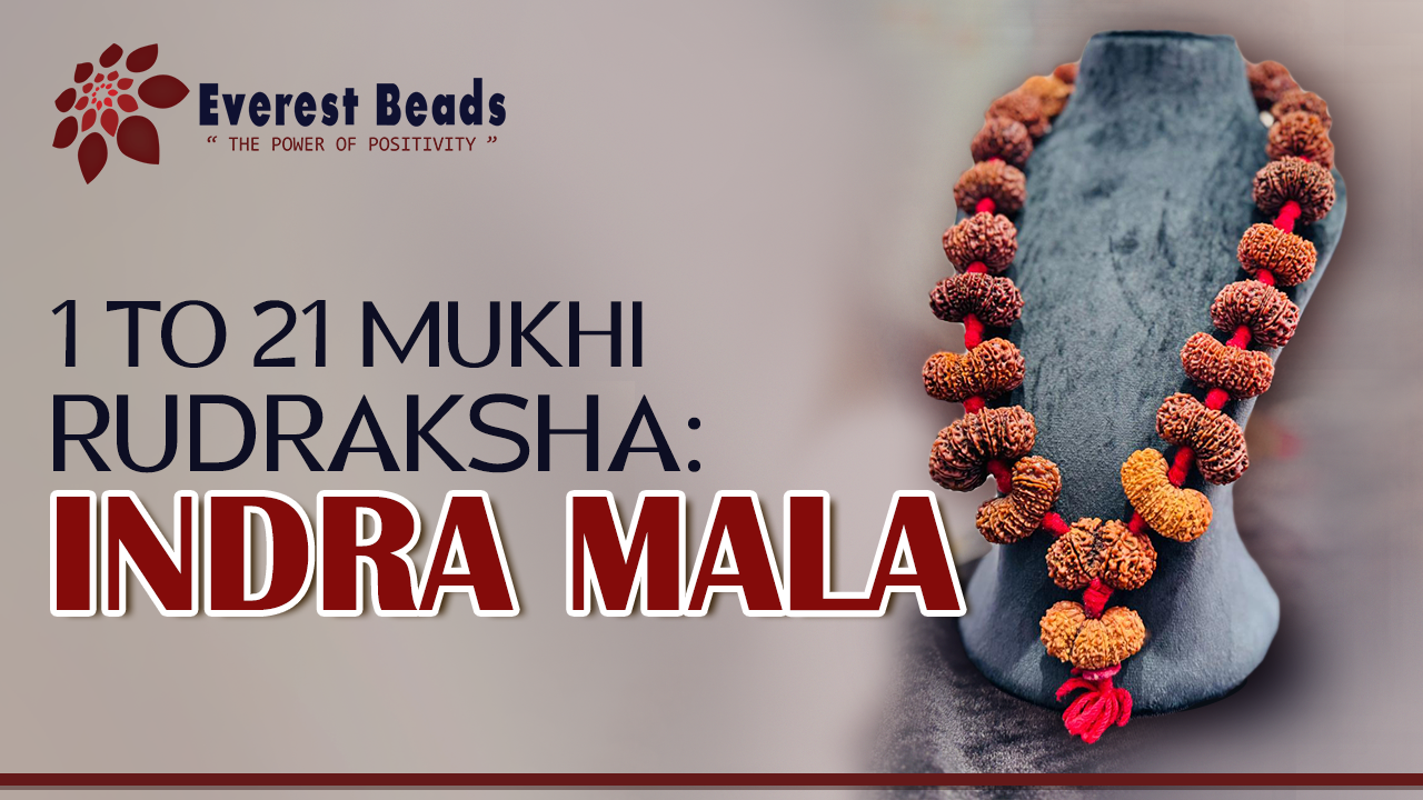 1 to 21 Mukhi Rudraksha: Indra Mala