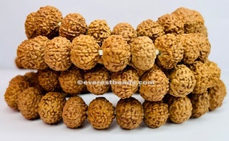 10 Mukhi Japa Mala Everest Beads