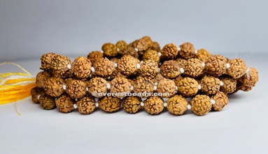 4 Mukhi  Japa Mala Everest Beads