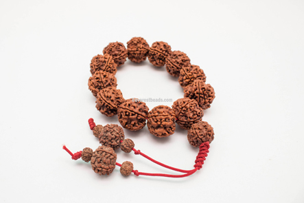 5 Mukhi Bracelet(13 beads) Everest Beads