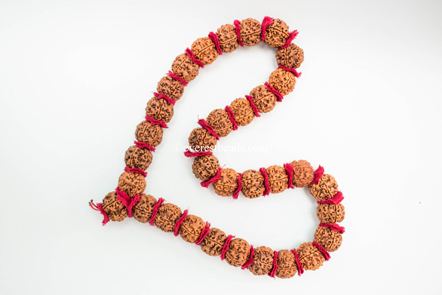 5 Mukhi mala