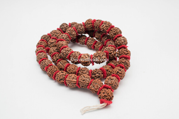 5 Mukhi small woolen Specer