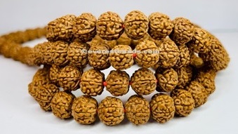 6 Mukhi Japa Mala Everest Beads