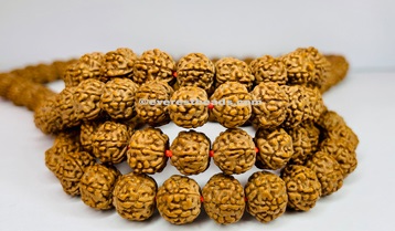6 Mukhi Japa Mala Everest Beads
