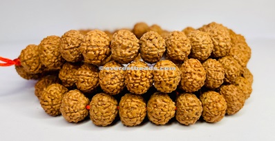 7 Mukhi Japa Mala Everest Beads