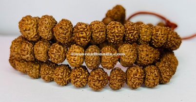 7 Mukhi Japa Mala Everest Beads