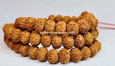 8 Mukhi Japa Mala Everest Beads