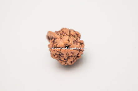 Ganesh Rudraksha Everest Beads