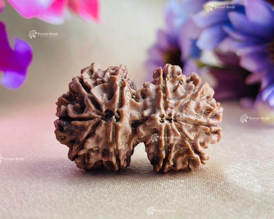 Gauri Shankar Rudraksha Everest Beads