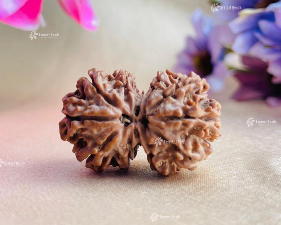 Gauri Shankar Rudraksha Everest Beads