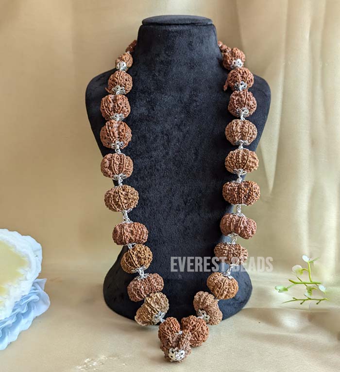 Maha Mritunjaya Siddha Mala (1 to 19 Mukhi) Everest Beads
