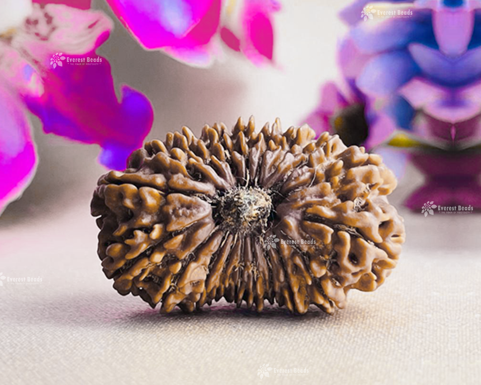 Nineteen Mukhi Rudraksha Everest Beads