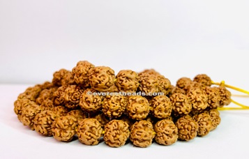 Nirakar Japa mala( Rare variety) Everest Beads